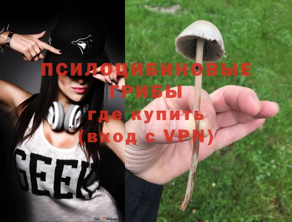 первитин Верхний Тагил