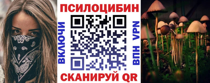 закладки  мега ССЫЛКА  сайты даркнета состав  Киржач  Псилоцибиновые грибы Magic Shrooms 