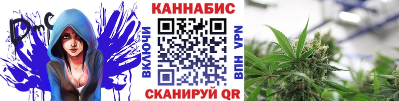Шишки марихуана марихуана  блэк спрут tor  Киржач  купить наркотики цена 